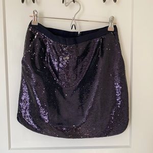 J.Crew Sequins Mini Skirt